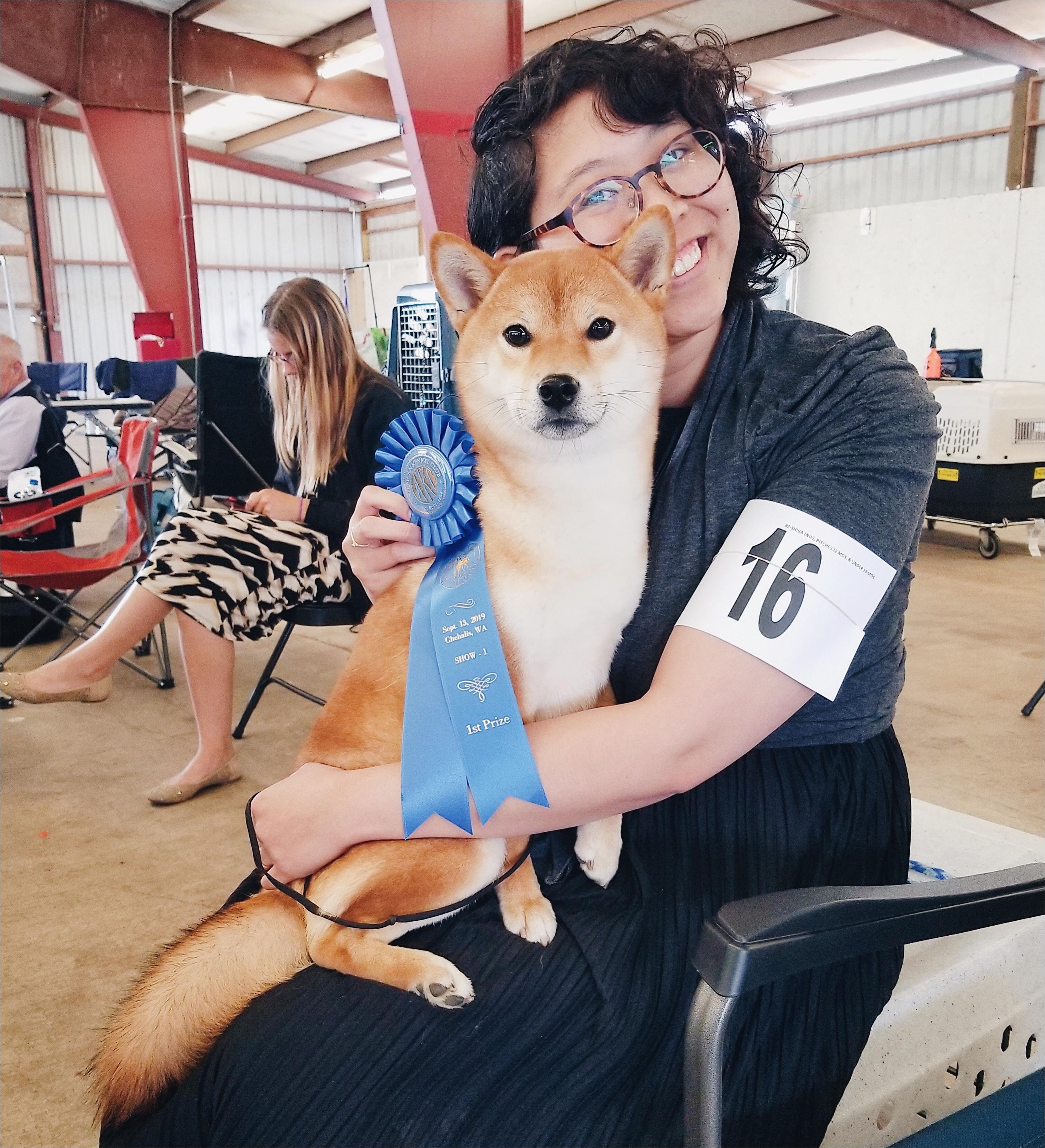 A photo of my dog with a blue ribbon.