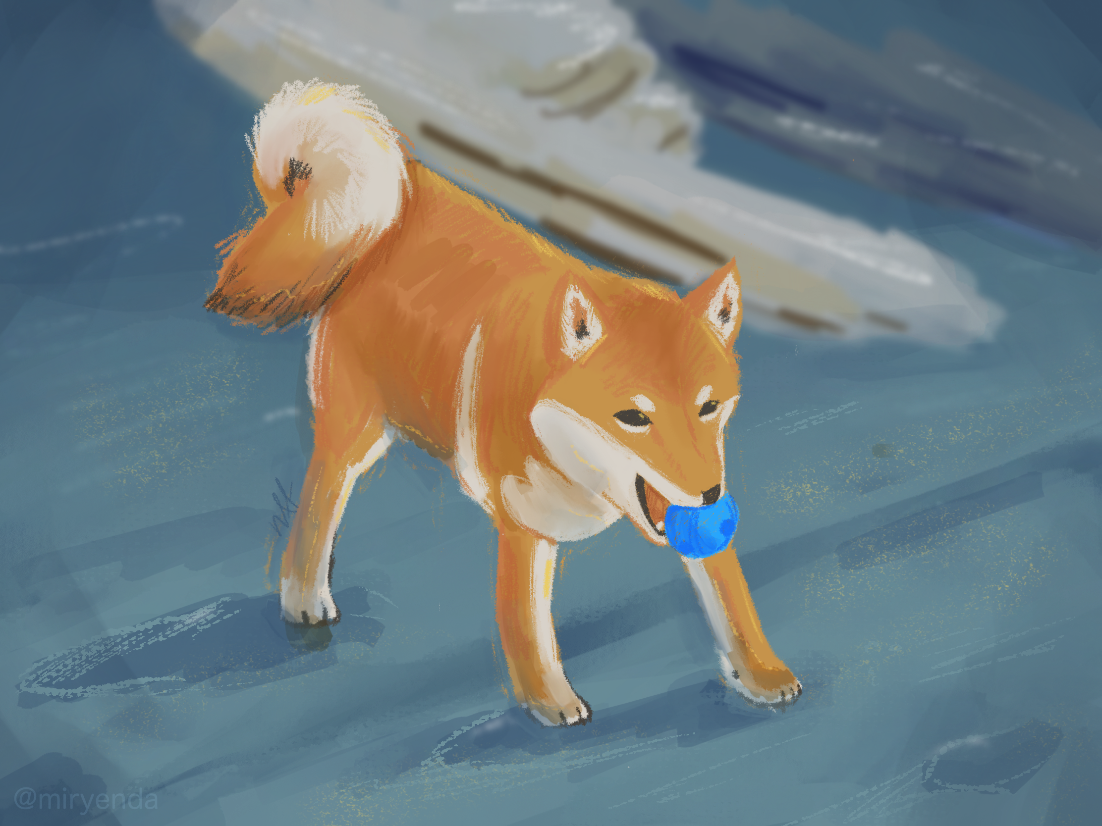 A shiba in the sand.